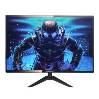 Esonic 19 inch HD LED Monitor